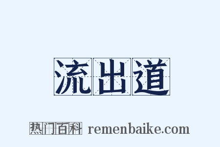流出道是什么意思的图片